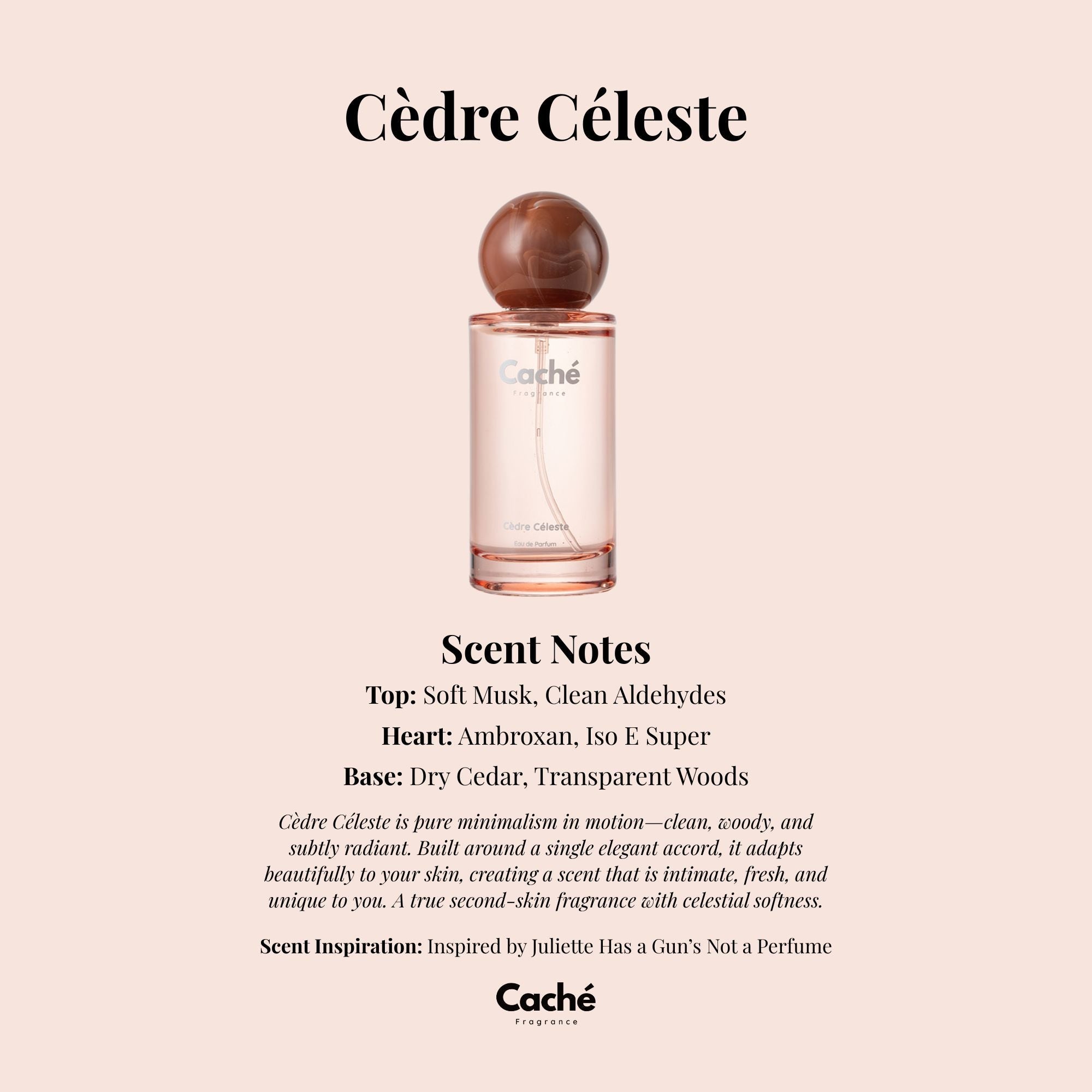 Caché - Cèdre Céleste