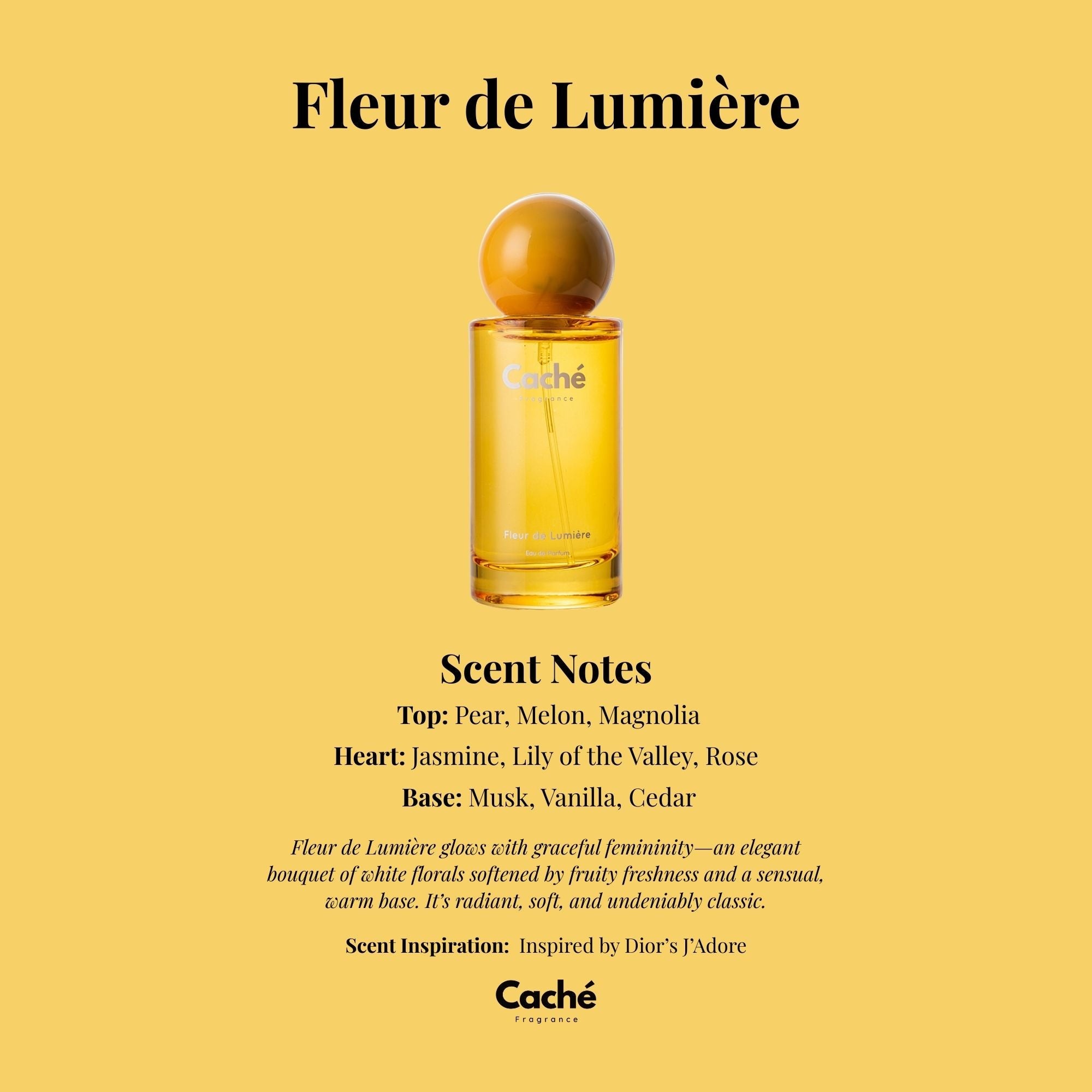 Caché - Fleur de Lumière